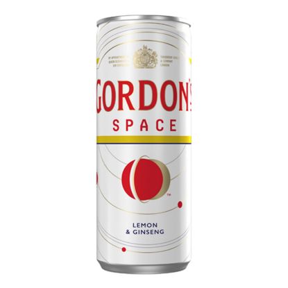 GORDONS Space can 250ml