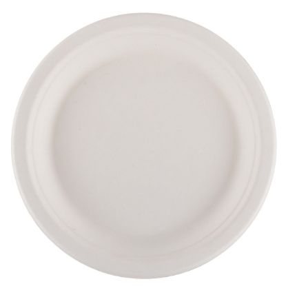 White sugarcane plates 23cm (50 pcs.)
